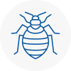 Bed Bug Extermination In Henley On Thames