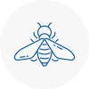 Bee Nest Removal Henley On Thames