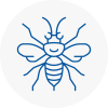 Henley On Thames Hornet Nest Removals
