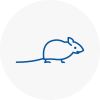 Mice Exterminators In Henley On Thames