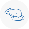 Rat Control Henley On Thames