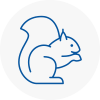 Henley On Thames Rodent Removals