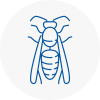 Henley On Thames Wasp Nest Removal